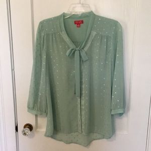 Mint green and gold tie neck top